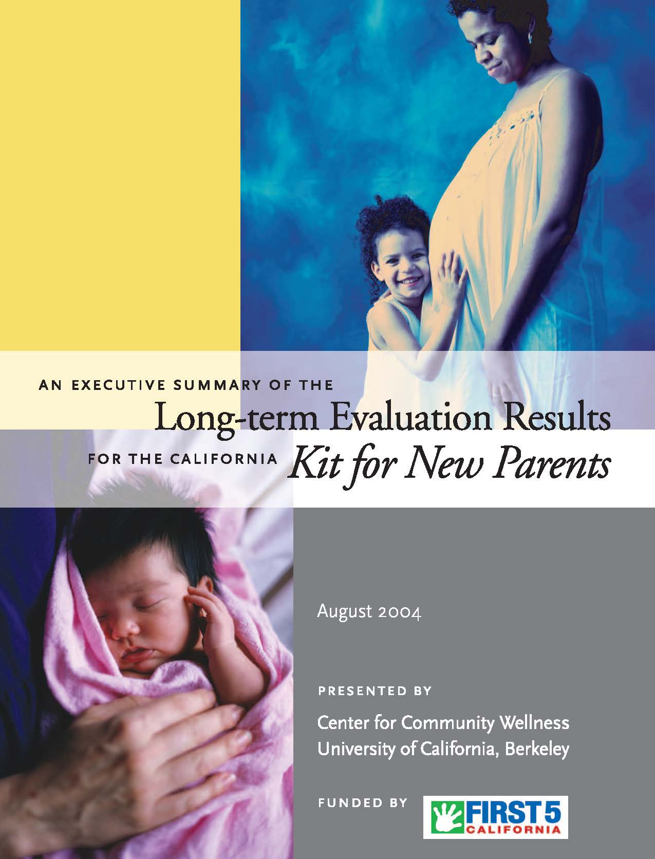 Executive Summary Cover